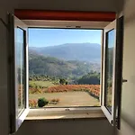 Casinha Minhota Ferienhaus Eirado