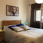 Casinha Minhota Ferienhaus Eirado